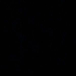 Meet your Posher, Jay